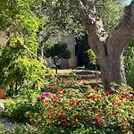 Terra Cesarea