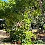 فندق مبيت وإفطار Terra Cesarea