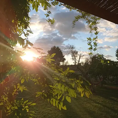 Terra Cesarea Oda ve Kahvaltı 4*