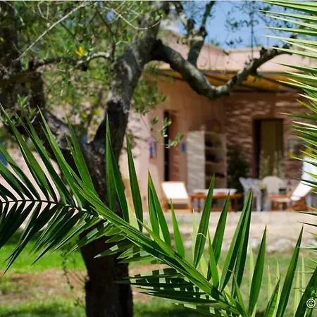 Terra Cesarea Bed & Breakfast Santa Cesarea Terme