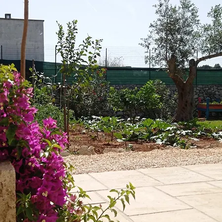 Terra Cesarea Santa Cesarea Terme