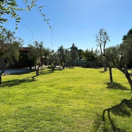 Terra Cesarea Bed & Breakfast *