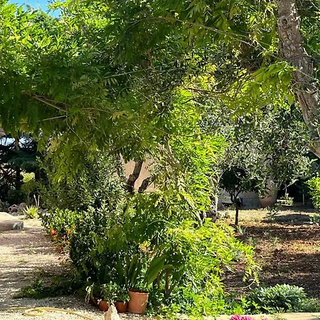 Panzió Terra Cesarea