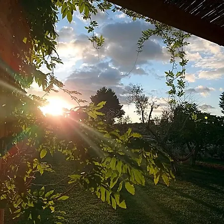 Frühstückspension Terra Cesarea 3*