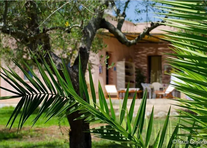 Terra Cesarea Panzió Santa Cesarea Terme