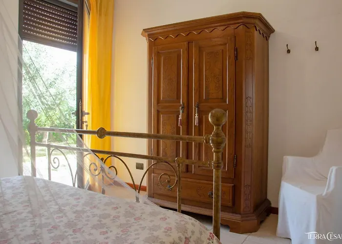 Terra Cesarea Nocleg ze śniadaniem 4*